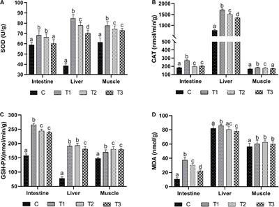 Modulation of Antioxidant Enzymes, Heat Shock Protein, and Intestinal Microbiota of Large Yellow Croaker (Larimichthys crocea) Under Acute Cold Stress